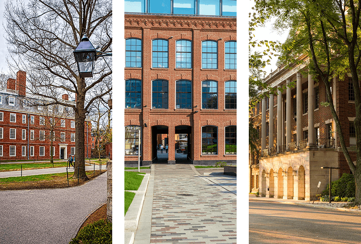 New York College